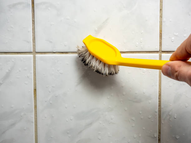 Best Office Mold Removal Services  in Eureka, CA