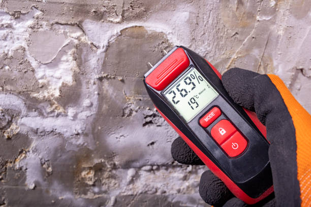 Best Water Damage Restoration  in Eureka, CA