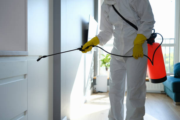 Best Home Mold Removal  in Eureka, CA