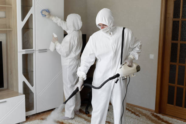 Reliable Eureka, CA Mold Removal Solutions