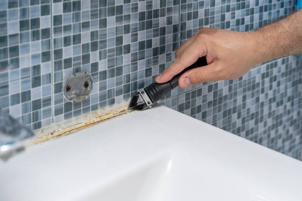 Best Black Mold Removal  in Eureka, CA