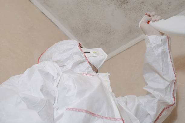 Best Mold Removal Near Me  in Eureka, CA