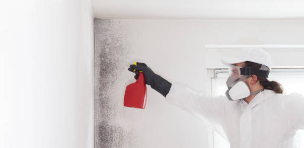 Best Crawl Space Mold Removal  in Eureka, CA