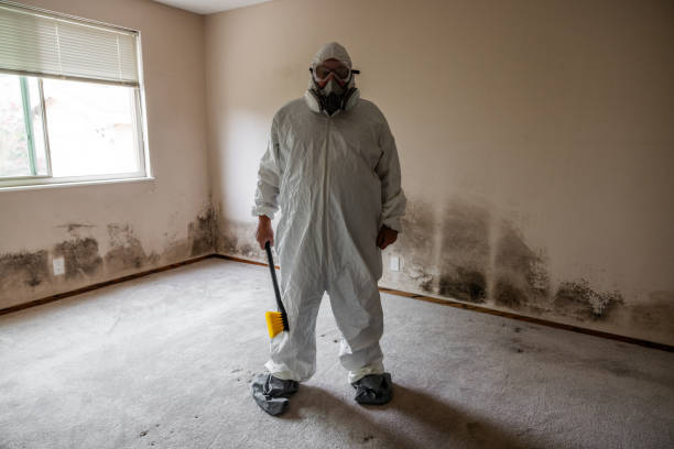 Crawl Space Mold Removal in Eureka, CA